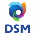 DSM 512x512 cssproject eu