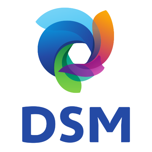DSM 512x512 cssproject eu